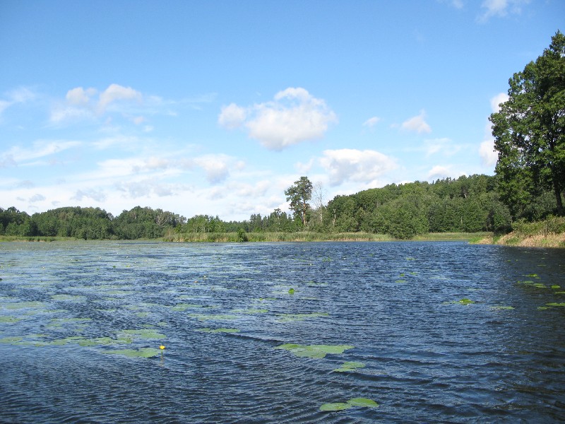 Озеро. Алатскиви Эстония (Alatskivi Eesti), ножи ручной работы
