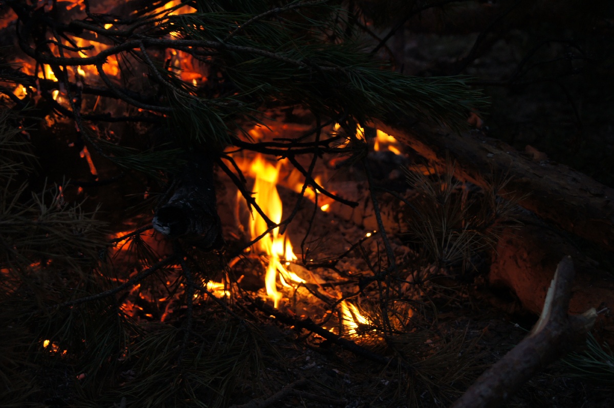 Fire. Midsummer day in Rannapungerja. 2011.