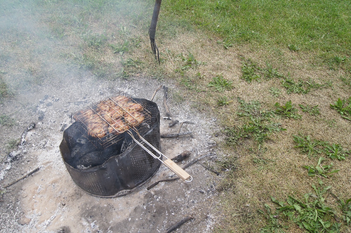 Barbecue. It is boring with no meat. Trip to garden.