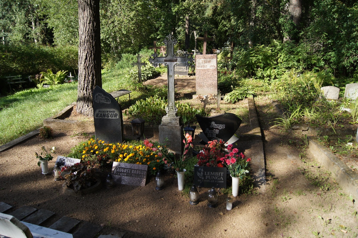  Кладбище Алатскиви.