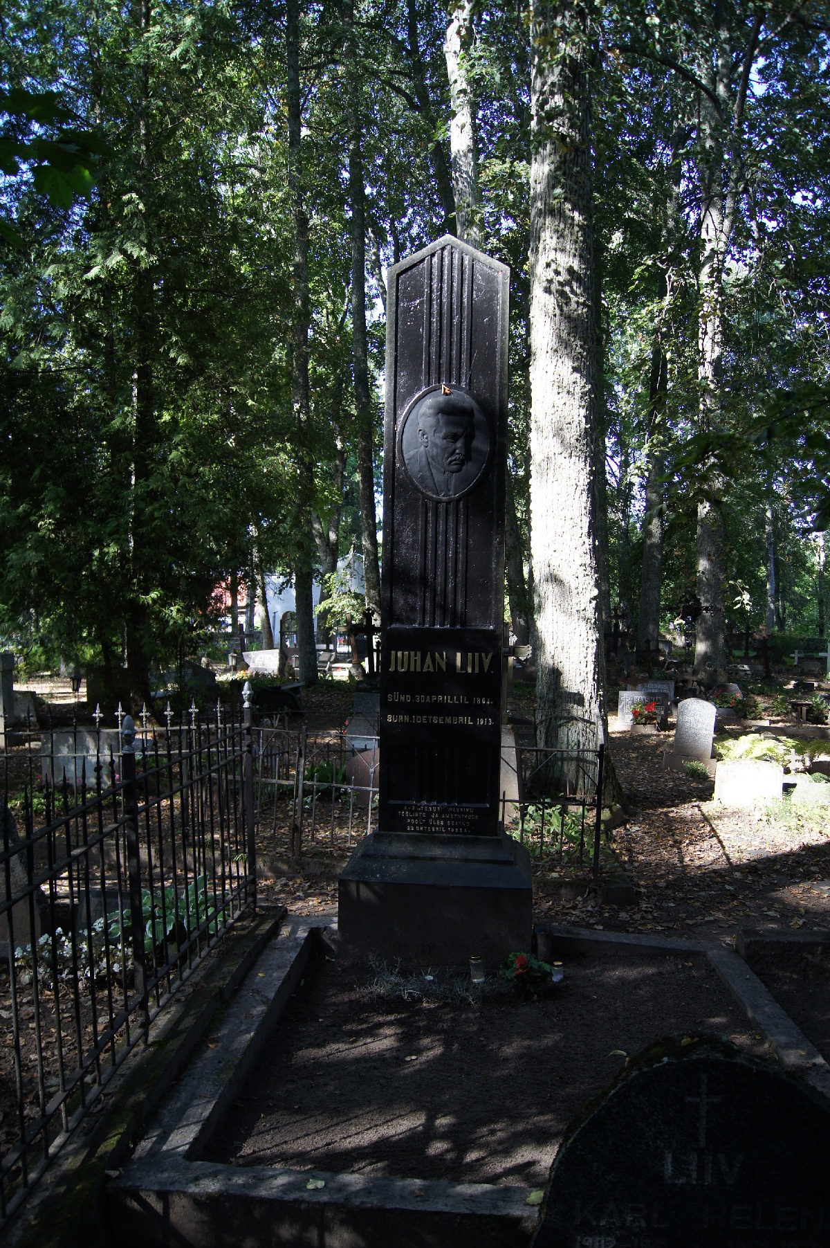 The highest stone. Juhan Liiv. Alatskivi cemetery.