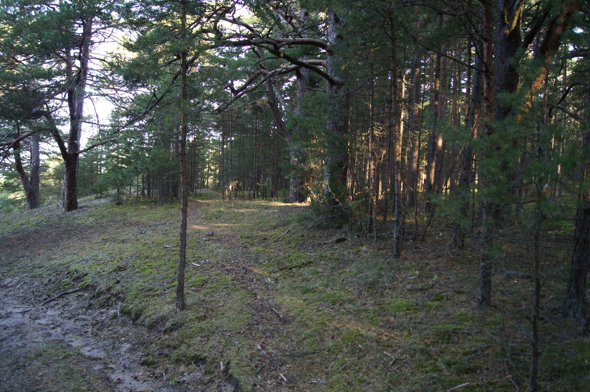  Матси ранд 2011. Отдых в Эстонии, Matsi rand.