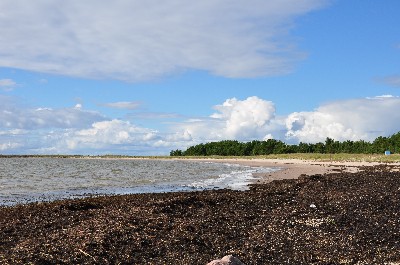 Матси ранд (пляж Матси)