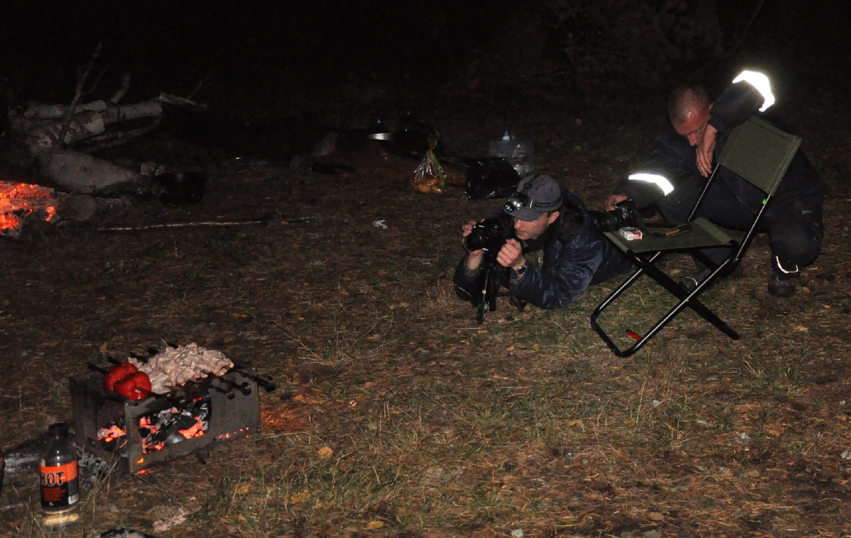 Мангал. Матси ранд 2011. Отдых в Эстонии, Matsi rand.