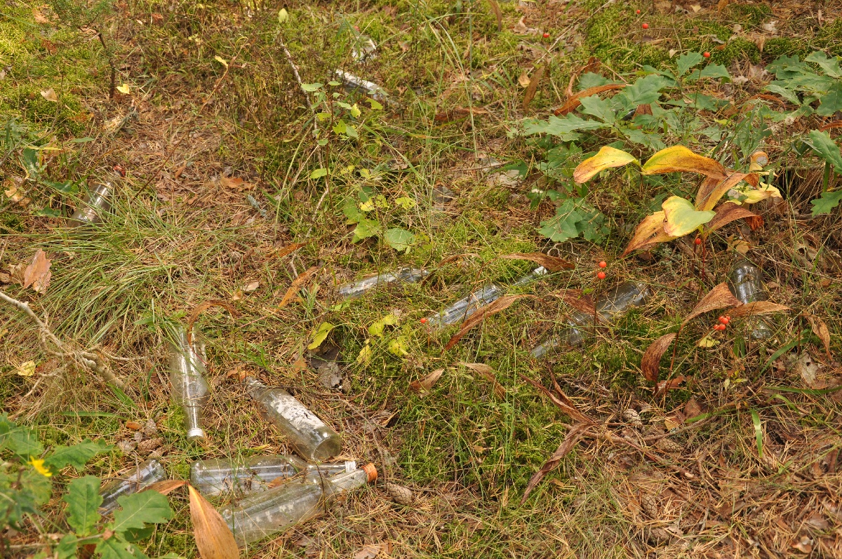 Бутылки.  Матси ранд 2011. Отдых в Эстонии, Matsi rand.