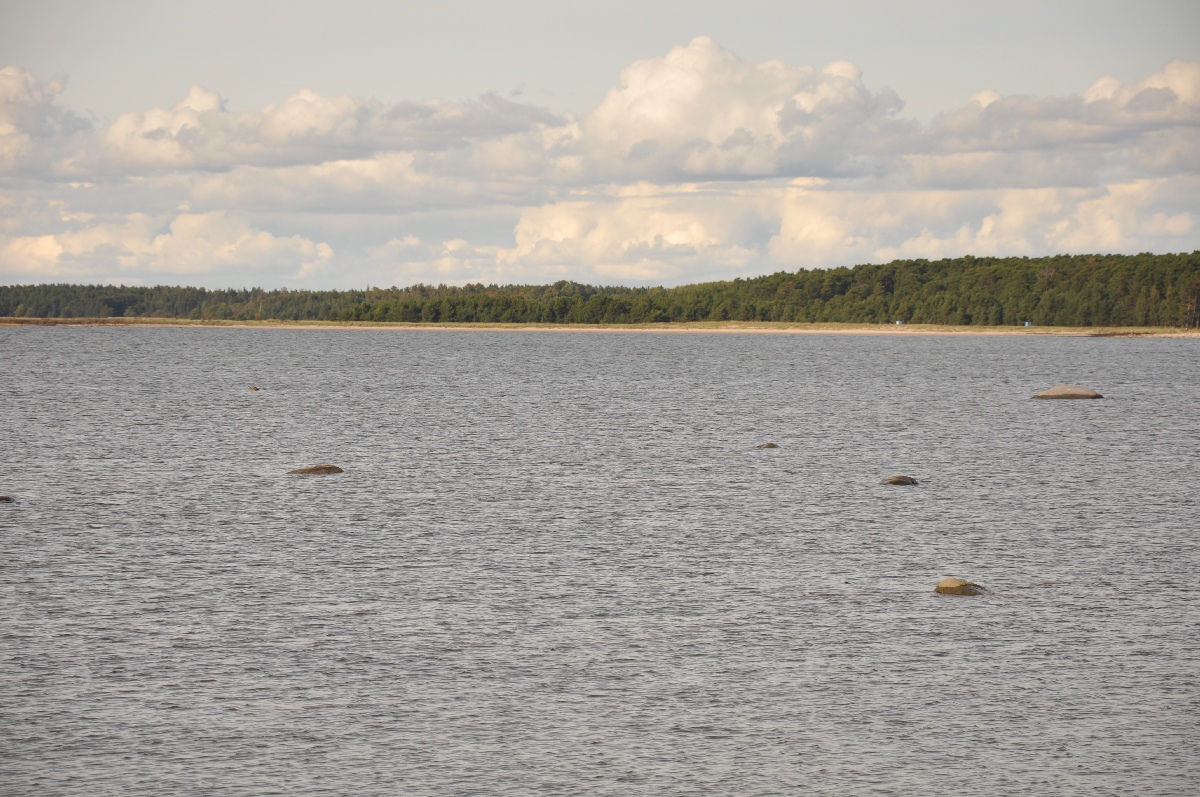 Sea. Matsi rand 2011. Holiday in Estonia, Matsi beach.