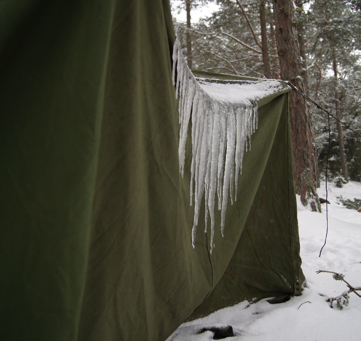 Icicle on the swedish army tent. Matsirand. Holiday in Estonia, Matsi beach on winter.