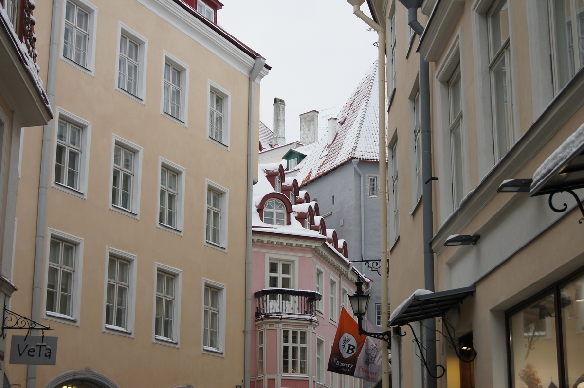 Old town. Walking in Tallinn.