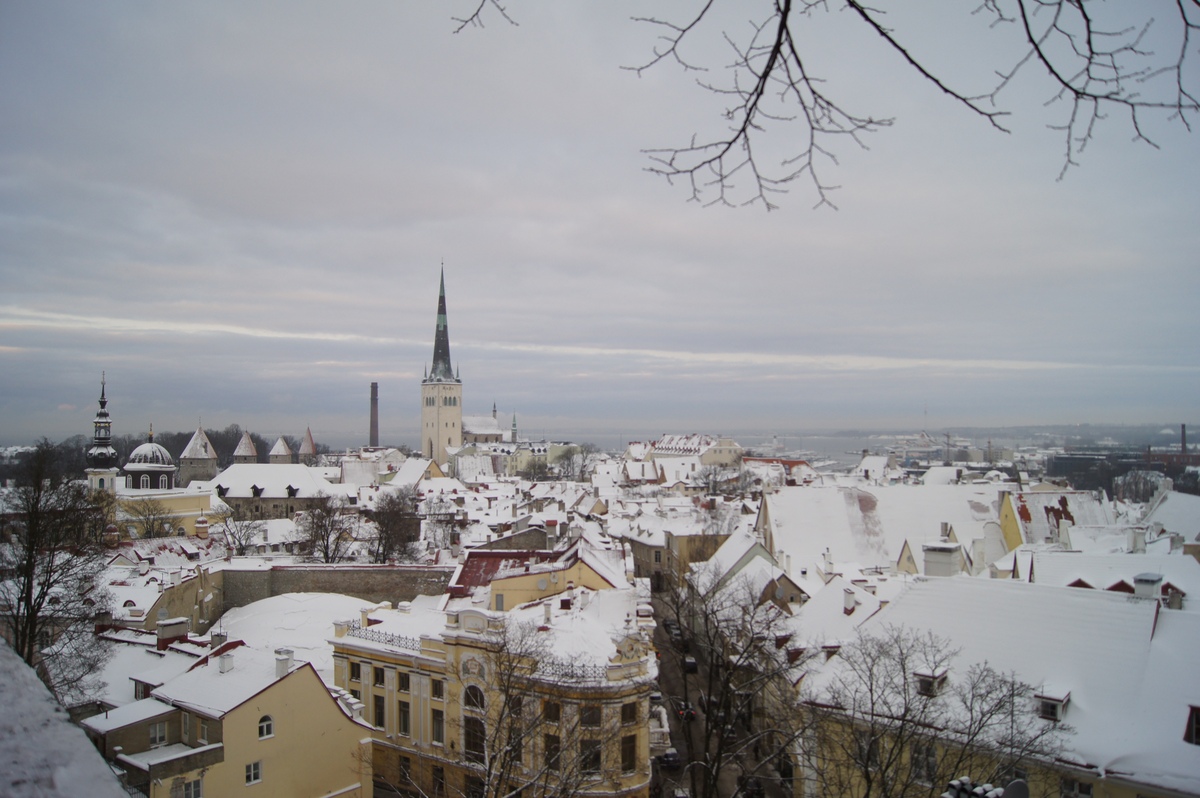  Walking in Tallinn.