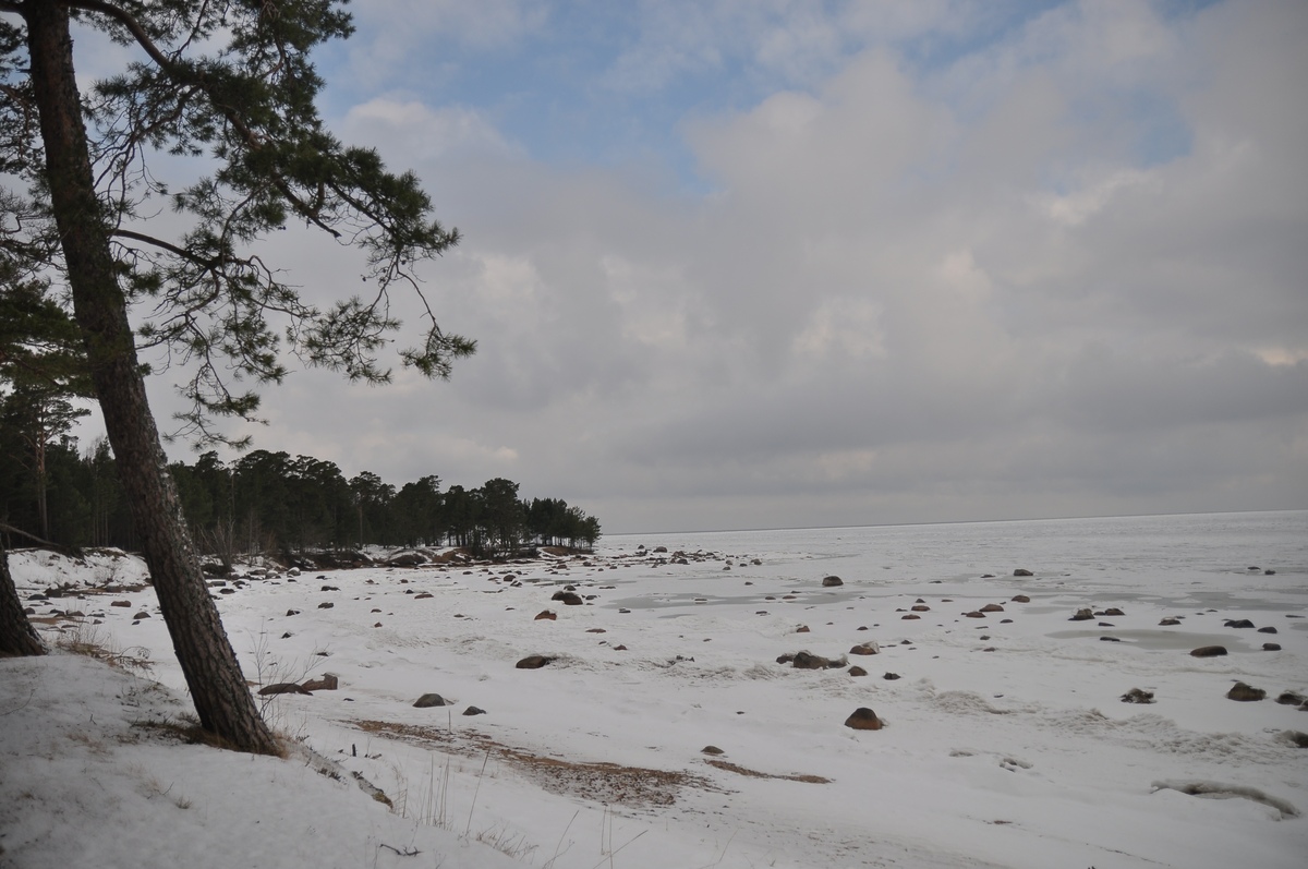 Winter nature. Piknik in Paldiski. RMK Paldiski, Lõkkekoht Paldiski.