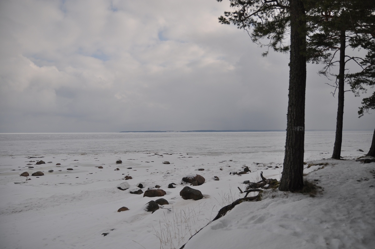 Talvine loodus. Piknik Paldiski rannas. RMK Paldiski, Lõkkekoht Paldiski.