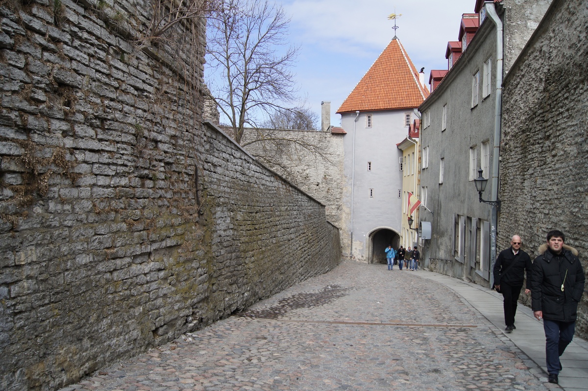  Walking in Tallinn.