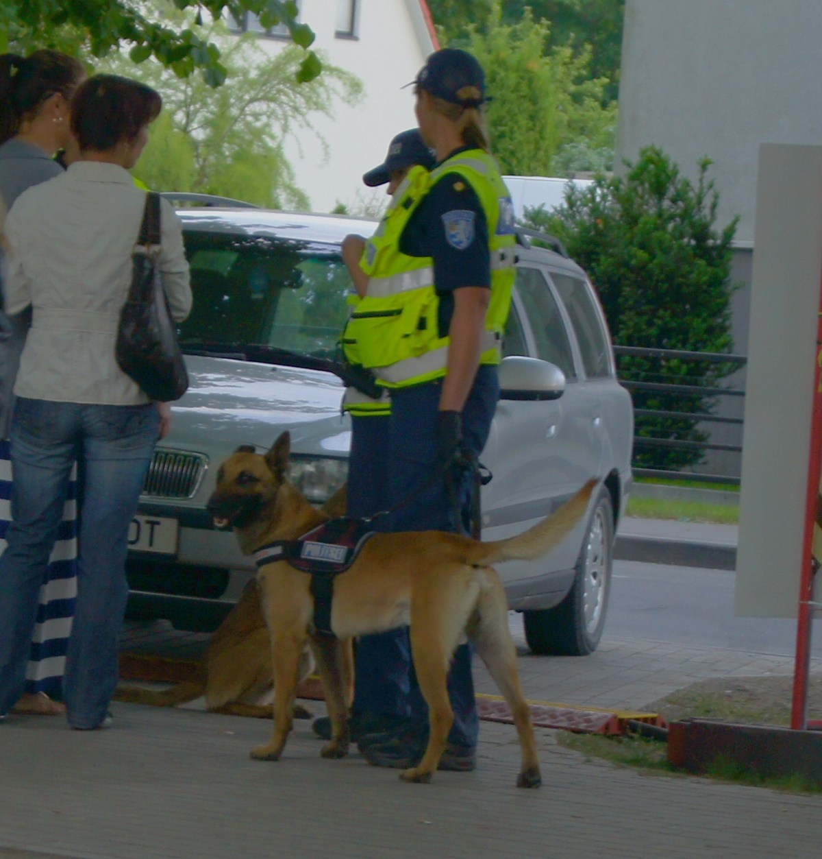 Police and police dog-killer. Pärnu Grillfest.