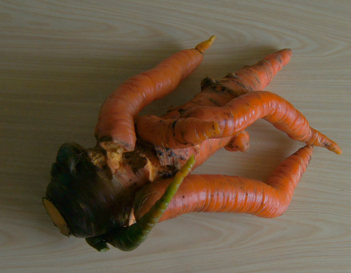  Гигантская морковь.