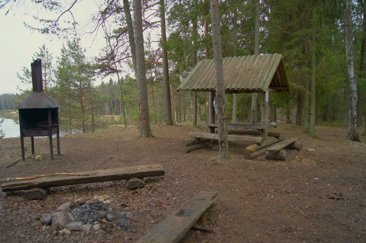  Пикниковое место Matsimäe karjääri lõkkekoht.