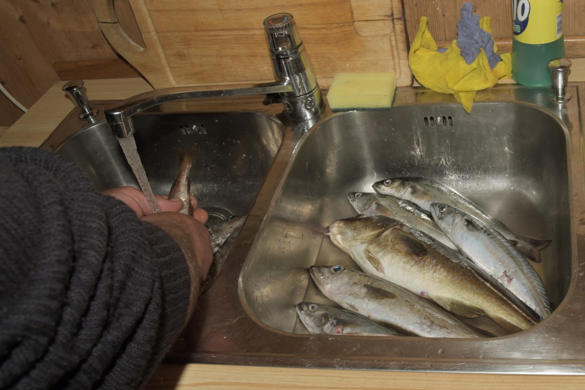 Улов на кухне. Рыбалка в Норвегии.