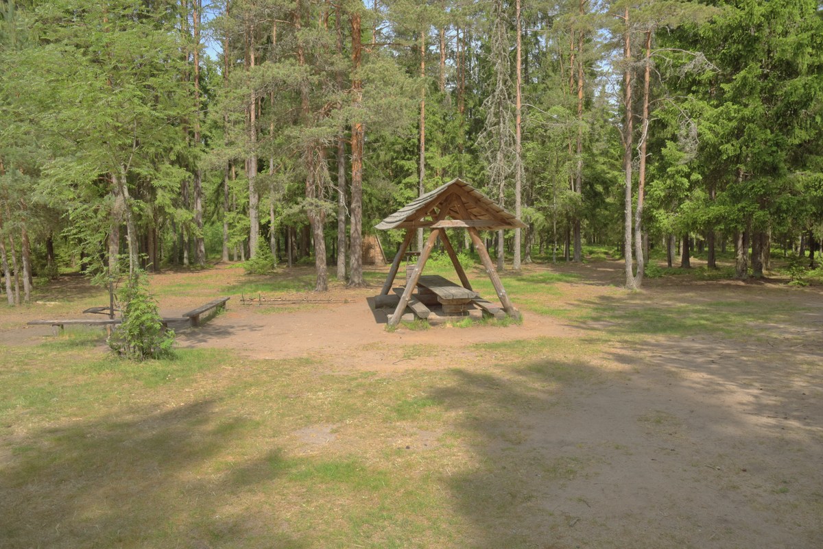  Место для палаток пайн-ярве (Järvi Pärnjärve telkimisala).
