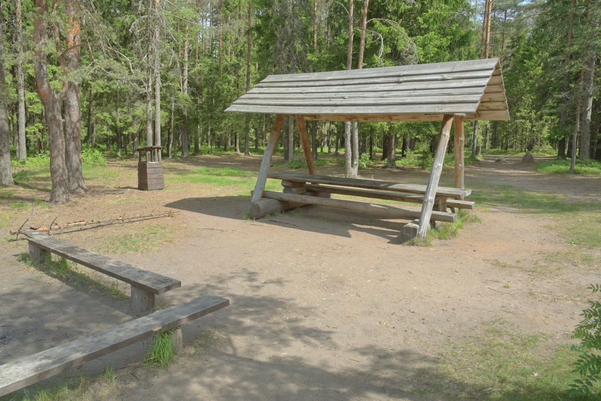  Место для палаток пайн-ярве (Järvi Pärnjärve telkimisala).