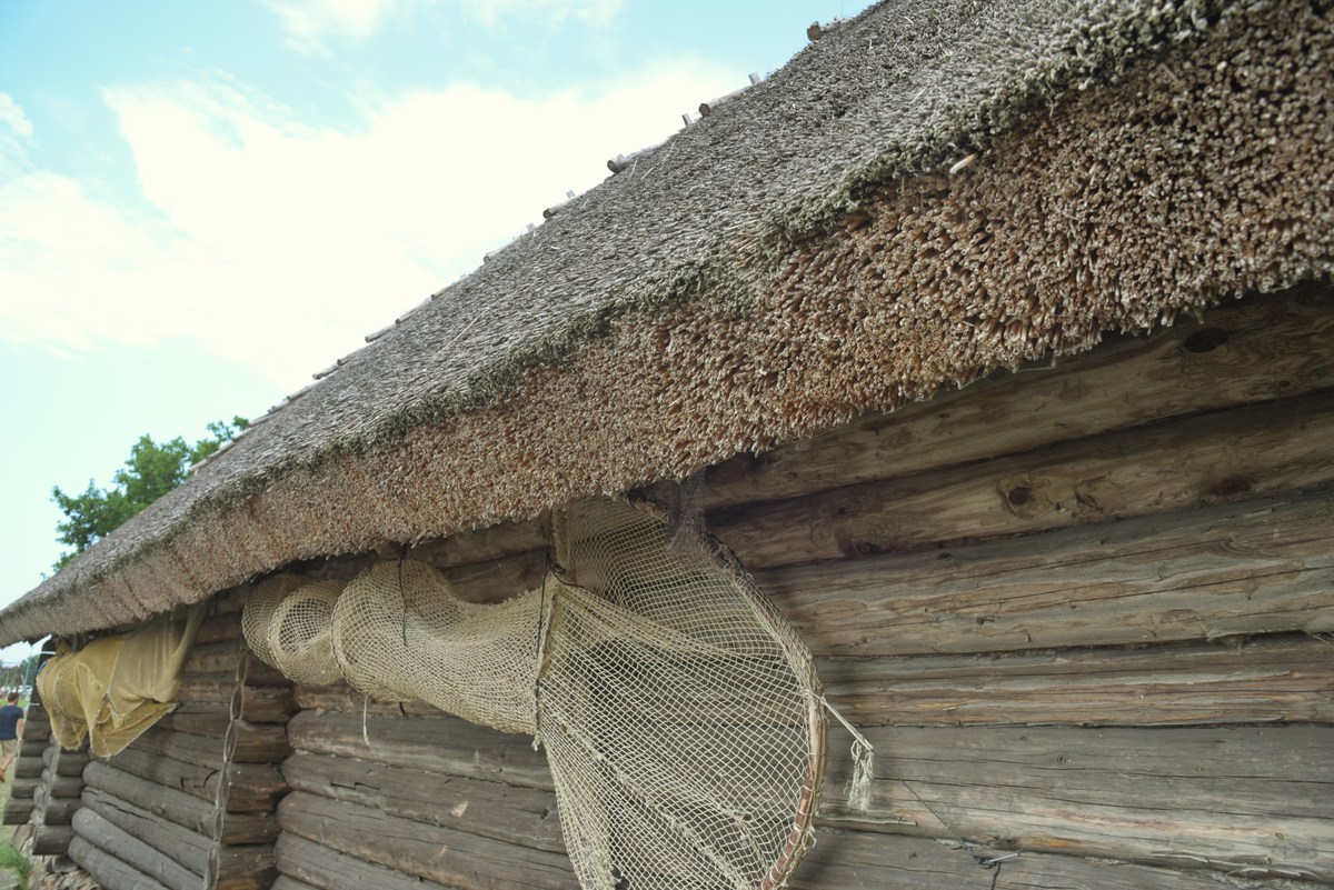 Крыша из толстого слоя камышей. Музей на открытом воздухе Виимси.