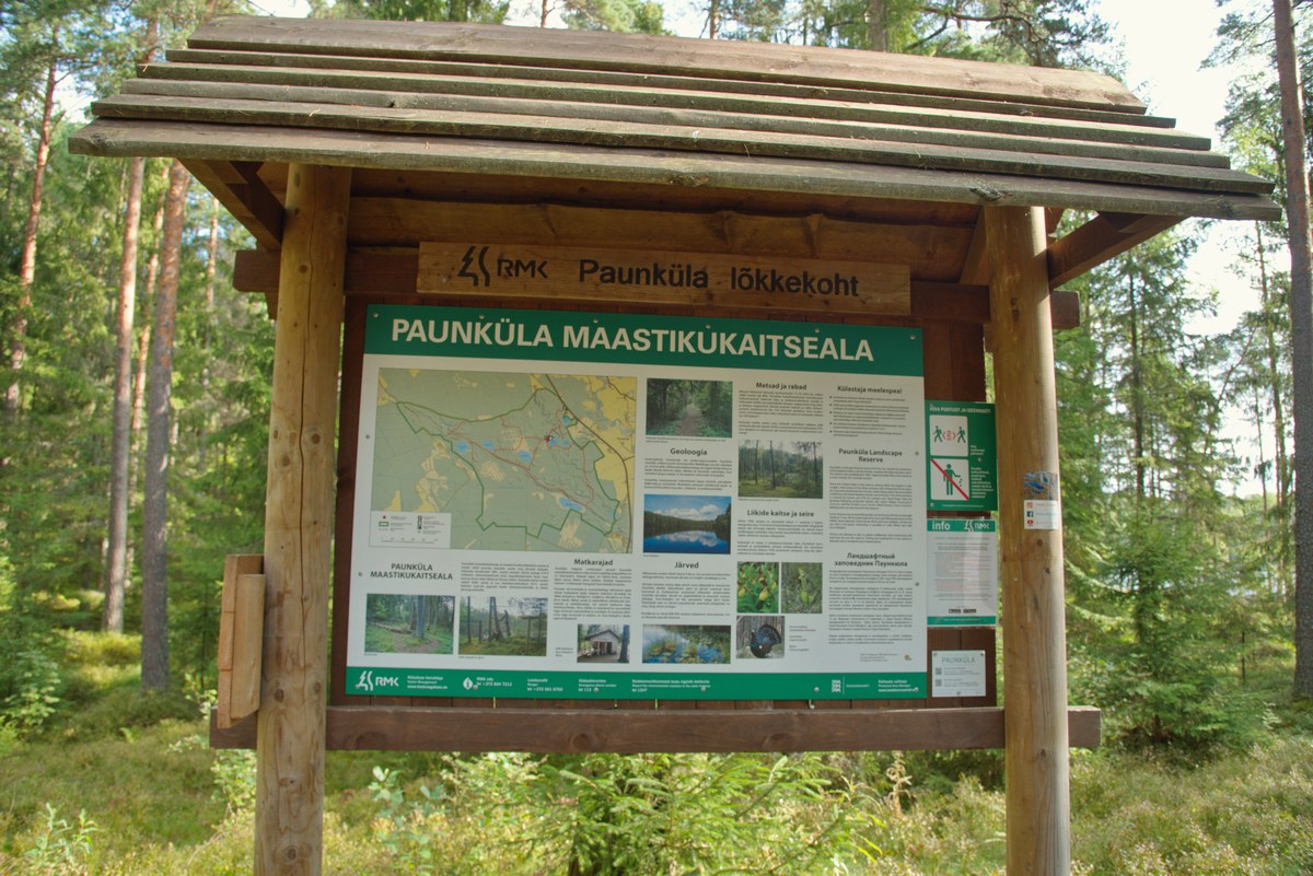  Место для костра паункюла (Paunküla lõkkekoht).