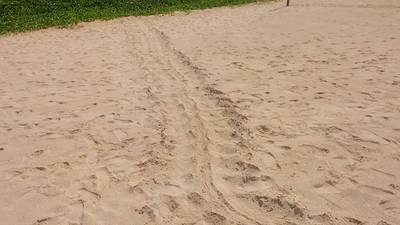 Шри-Ланка. Отпуск на юге. Полная версия. 