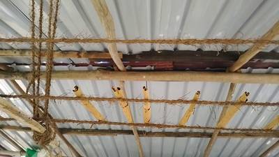 Шри-Ланка. Отпуск на юге. Полная версия. 