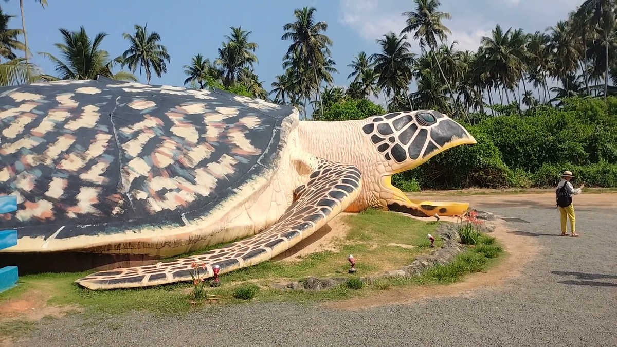  Шри-Ланка. Отпуск на юге. Полная версия.