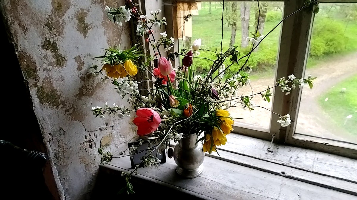  Усадьба Кирна. Выставка тюльпанов. Эстония.