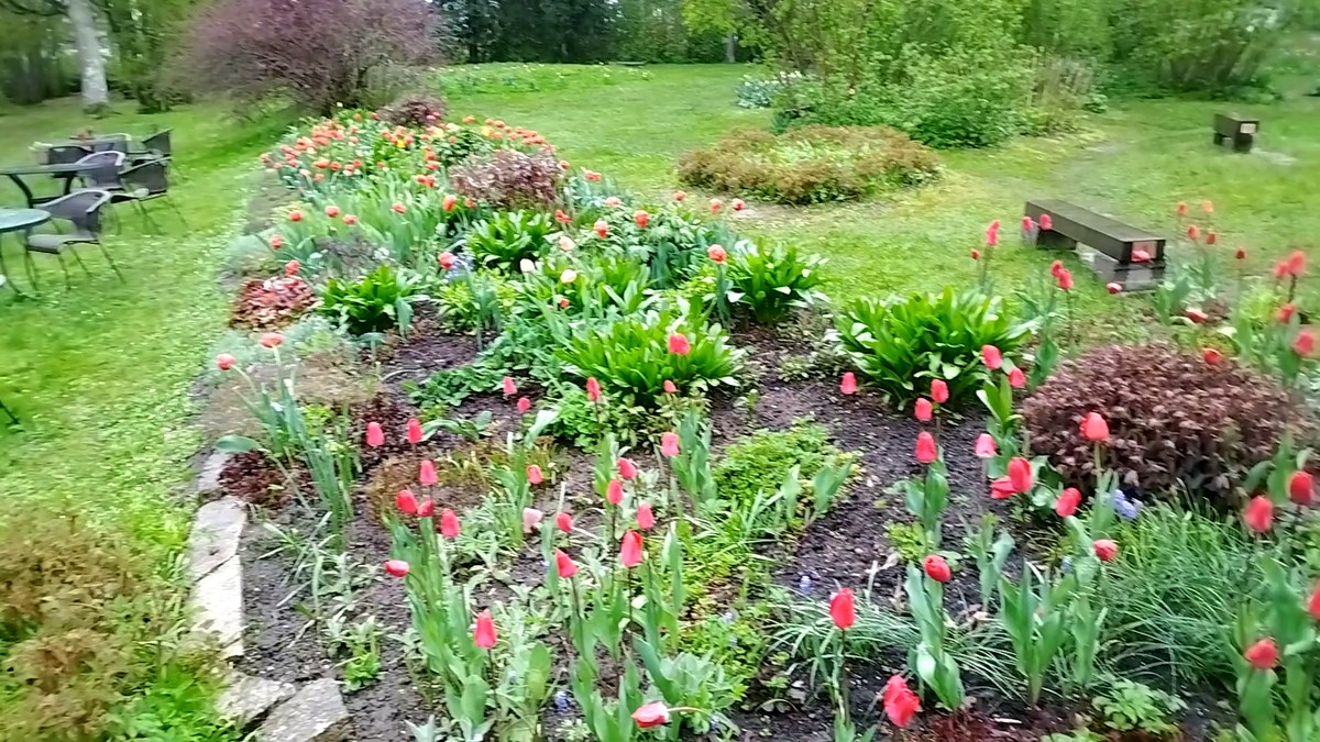  Усадьба Кирна. Выставка тюльпанов. Эстония.