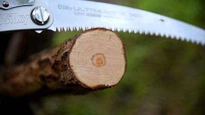 Тестируем разные пилы на тонкие ветки до 10 см.