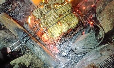 Эстония. Лесной дом Вялламяе и пикниковое место.