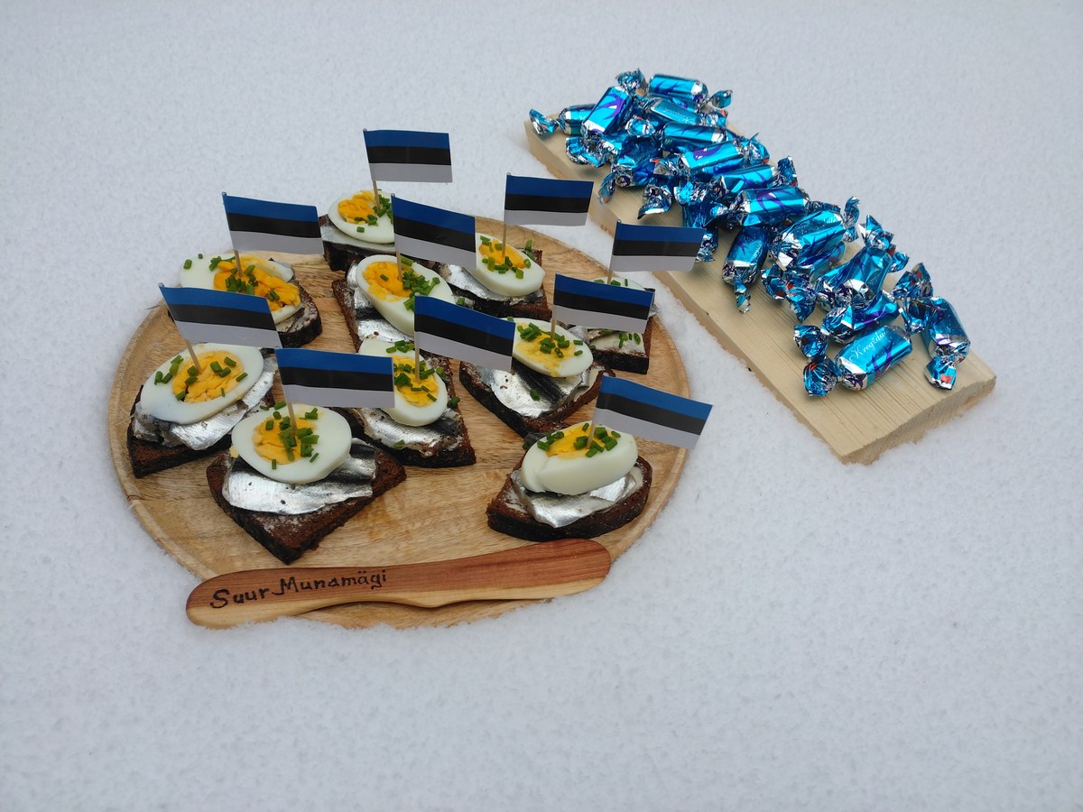  Эстония. Лесной дом Вялламяе и пикниковое место.